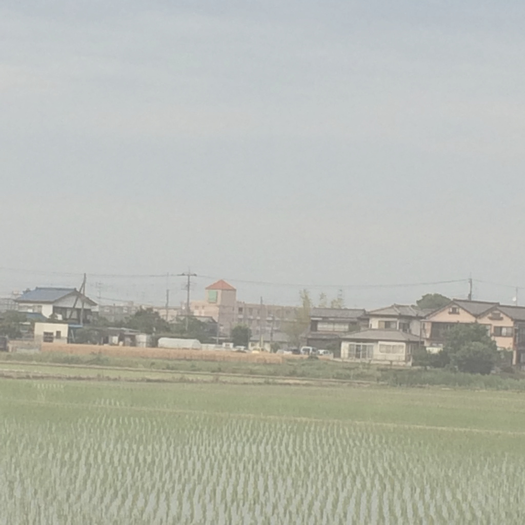 ホテル久喜の田園風景